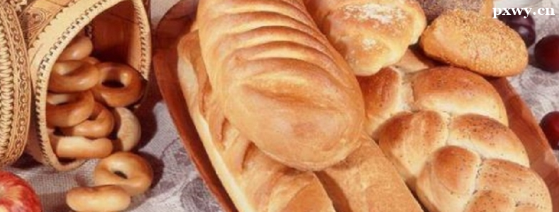 ��ѵ���ʦȥ������ѵ�ȽϺ�