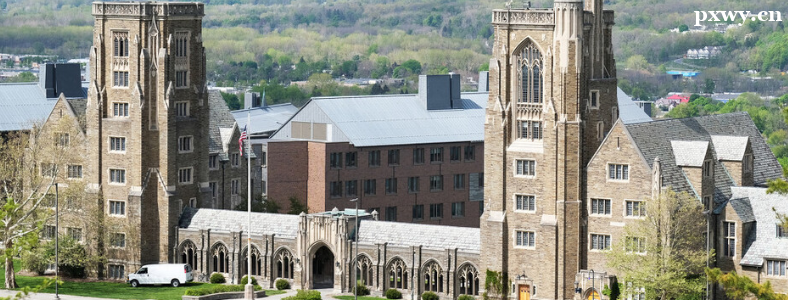 ������Ԥ��Ҫ�и��ɼ���