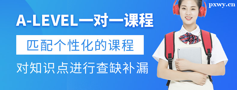���A-level��ѵ����