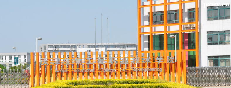 ������﹤��ְҵ����ѧԺ�����߿�����