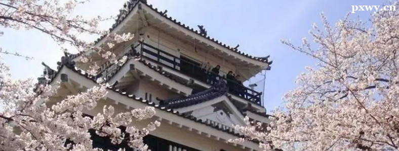 ȥ�ձ���ѧ�ͺ�����ѧ�ĸ��Լ۱ȸ�