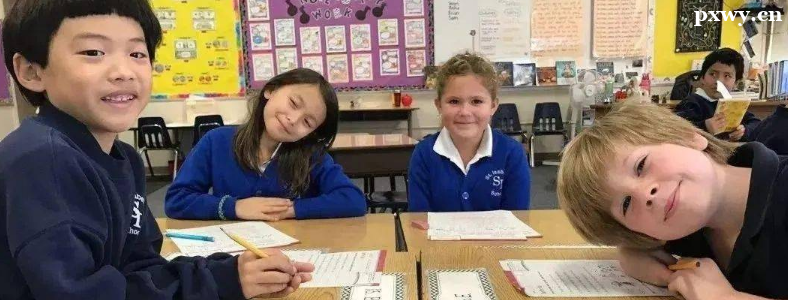 ��С�и�����PET