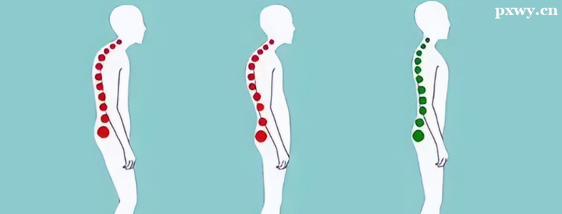 �����������ѵ��������