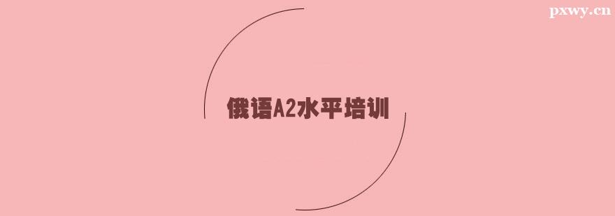 ����A2ˮƽ��ѵ��