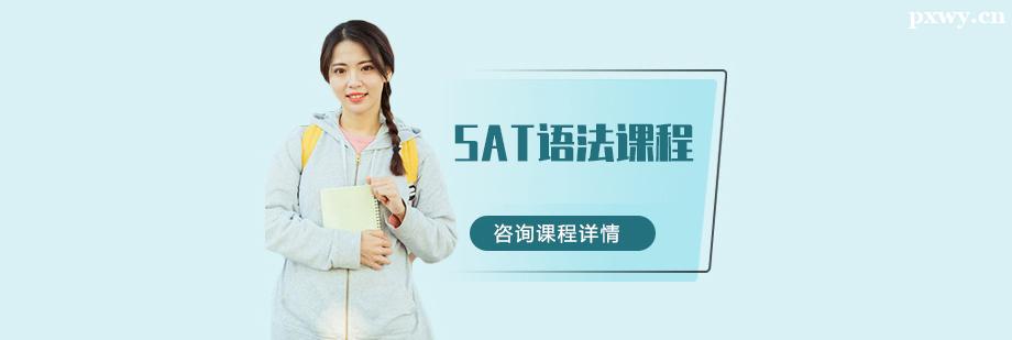 SAT�﷨�γ���ѵ��