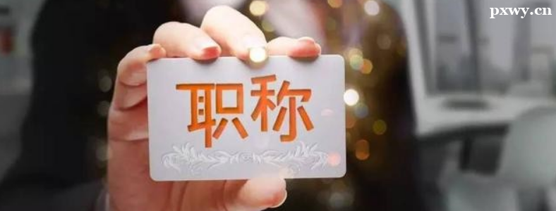 �����м�ְ����ʲô��;