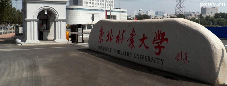 ԰�ֺ�԰���ĸ����кõ�