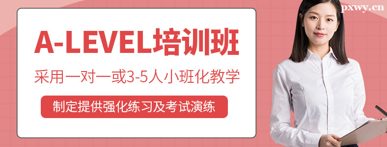 alevel������ѵ�ļҺ�