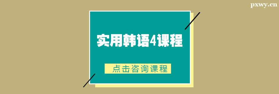 ʵ�ú���4��ѵ�γ�