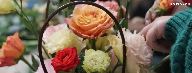 �廨�γ̺�����ѧ��