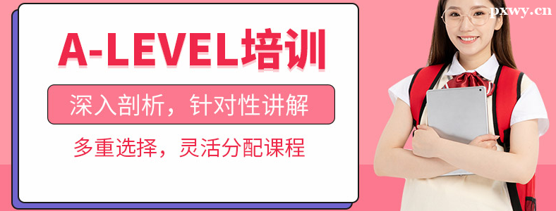 ALEVEL������ѵ�ļҺ�