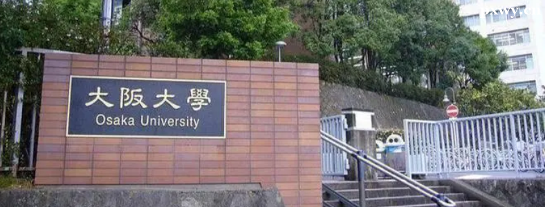 �ձ���ѧ�뺫����ѧ�ĸ���һ��