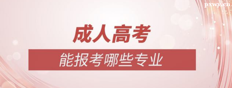 �ӱ����˸߿�����ʲôרҵ���Ա�