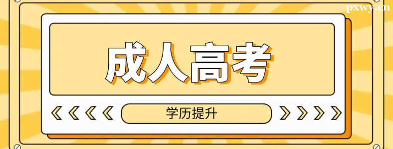 �ӱ����˸߿�����ʲôרҵ���Ա�