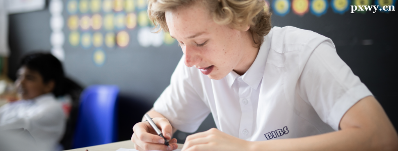A-level�γ�������������