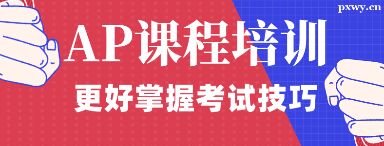 �Ϻ�AP�γ���ѵ����