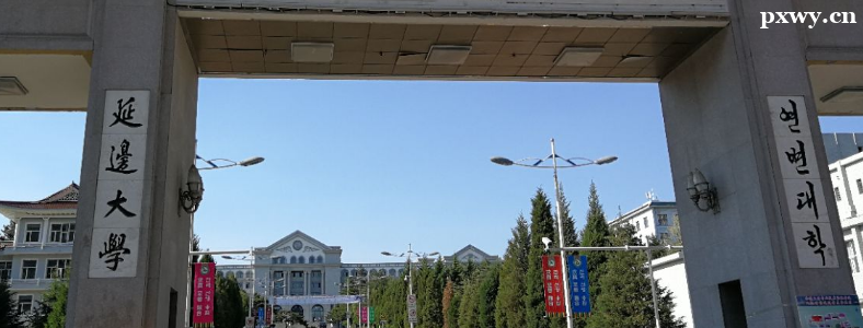 �ӱߴ�ѧ����ѧ���п�Ŀ