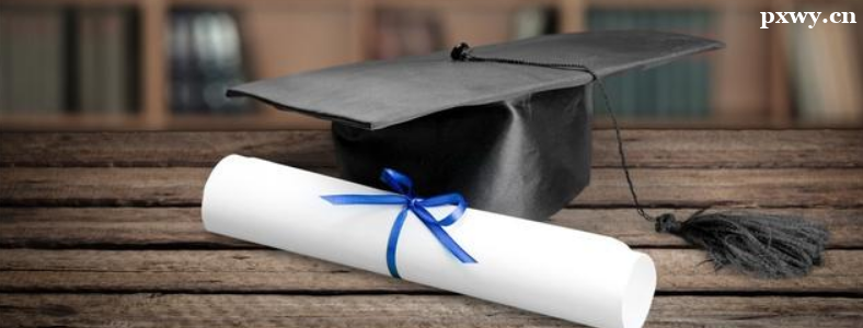 �о�����ѡ����������