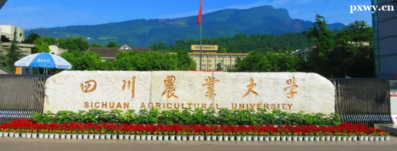 ũҵ��е�����̿��о�ҵǰ�����