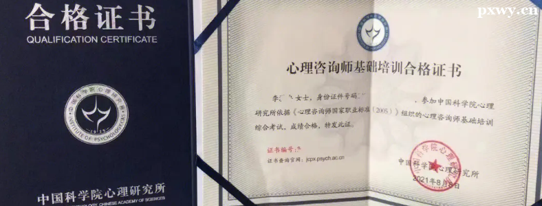 �п�Ժ������ѯʦ����