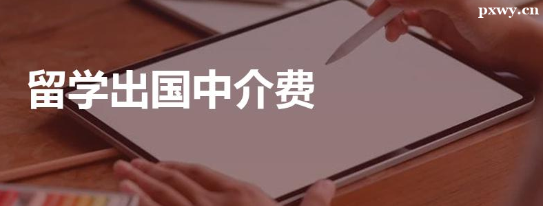 ��ѧ�н��һ�㶼����ʲô������Ŀ