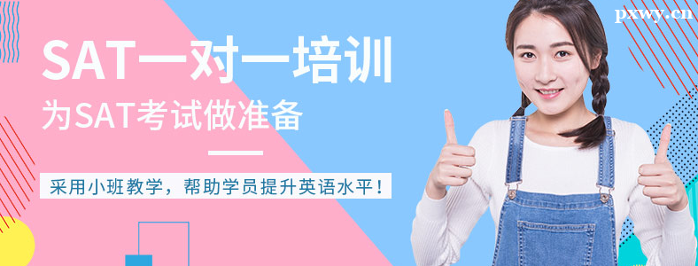 SAT��ѵ��ѧ��һ�����