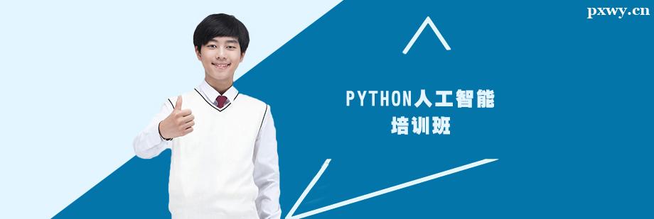 Python�˹�������ѵ��