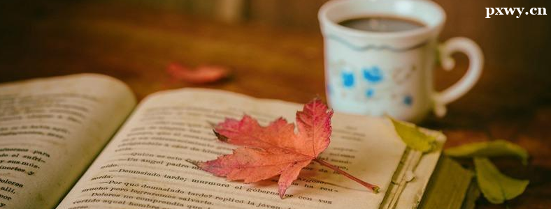 ��ʷѧ�����������Ż�������