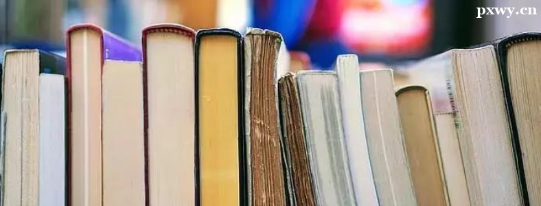 ����Ӣ���Ķ���ô׼���ȽϺ�