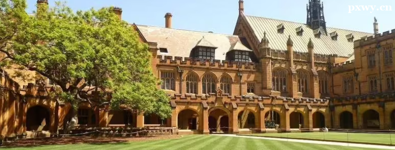 �Ĵ�������ѧ�о��������Ƕ���Ǯ