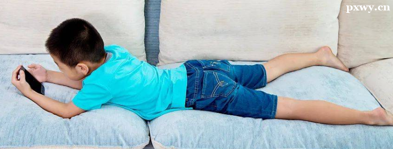 ��Сѧ�����������ԭ��