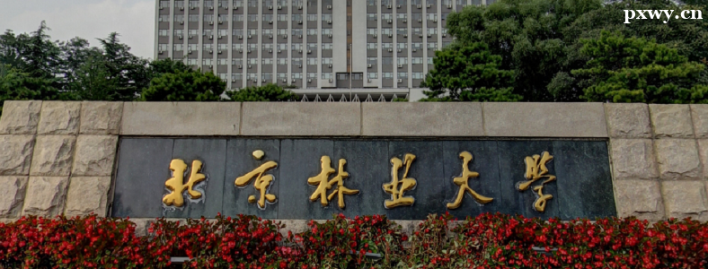 ��ѧרҵ�о�����ҵǰ�����