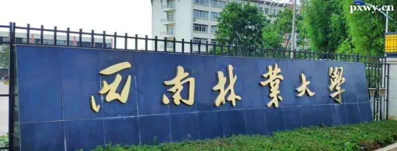 ��ѧרҵ�о�����ҵǰ�����