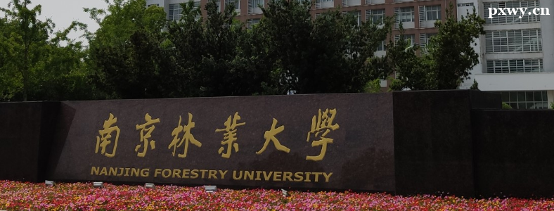 ��ѧ���з���