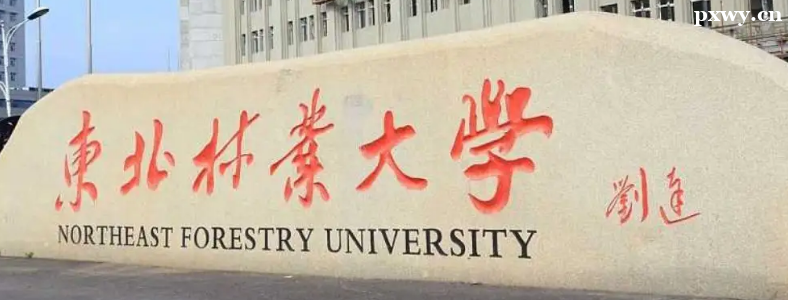 ��ѧ���з���