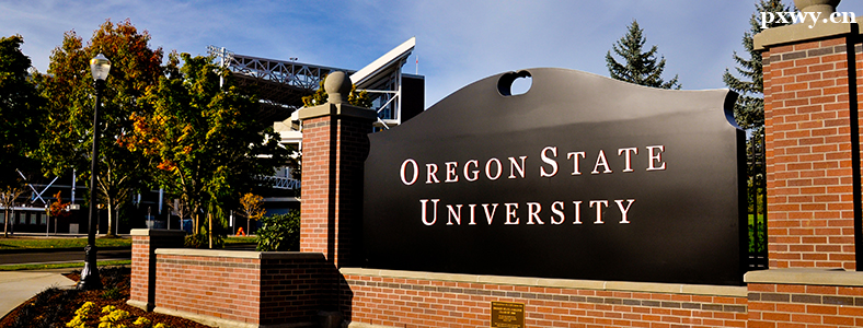 ��˼���ֿ������������ѧУ����Щ