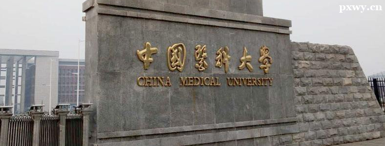 ҽѧӰ��ѧ����ѧУ�Ƽ��ĸ�