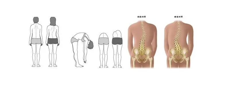 ����ʮ���꼹�������ָܻ���