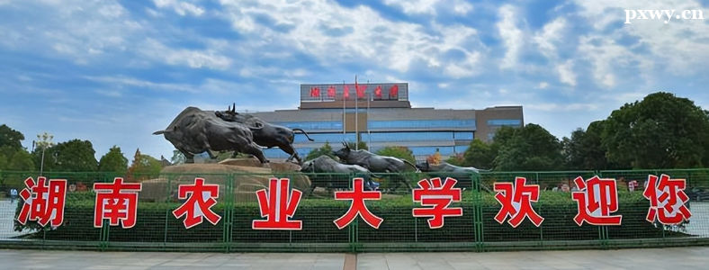 ũѧ������ЩѧУ�ȽϺÿ�