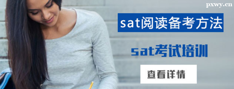 SAT�Ķ�������α���