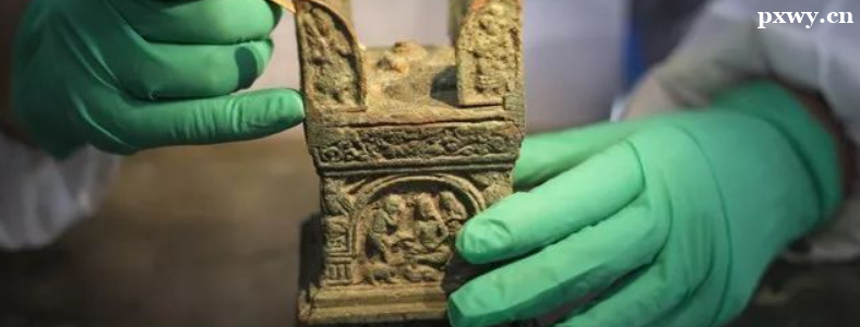 ���ﱣ��רҵ����ǰ�����