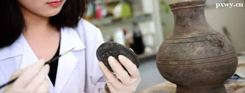 ���ﱣ��רҵ����ǰ�����