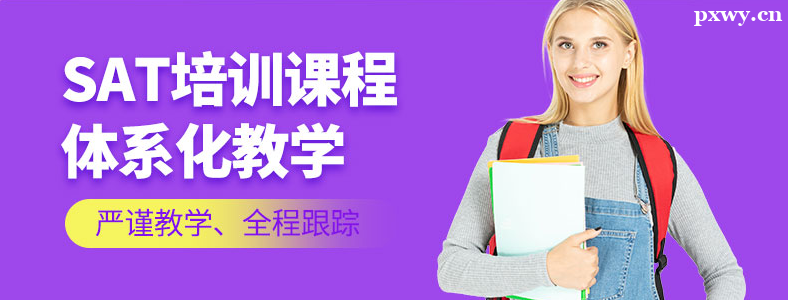 �Ϻ�SAT��ѵ�����ļҺ�