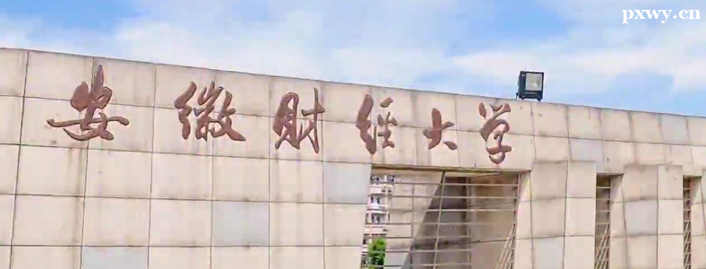 ���ղƾ���ѧ2024���о�������רҵĿ¼