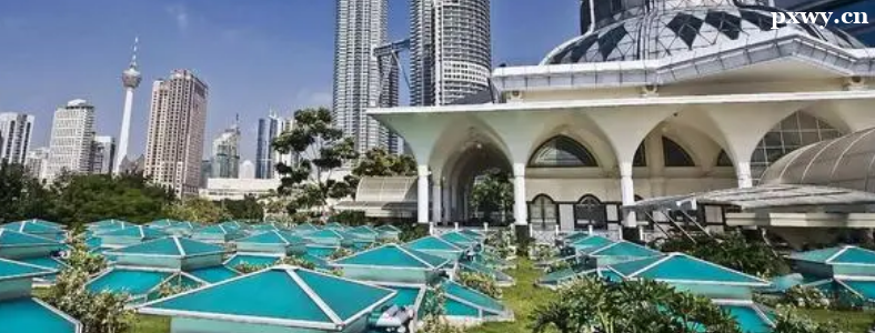 ȥ����������ѧ�н�Ѷ���Ǯ