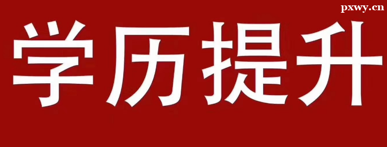 �����˱���ѡ�ĸ�רҵ��