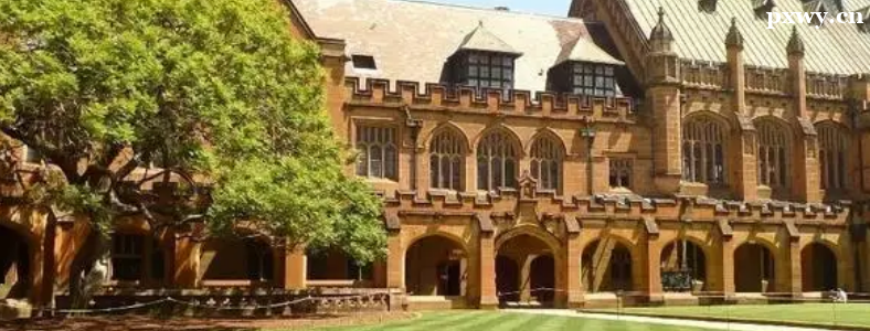 ����������ѧҪ��Щʲô