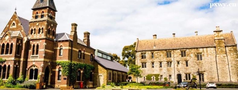 ����������ѧҪ��Щʲô