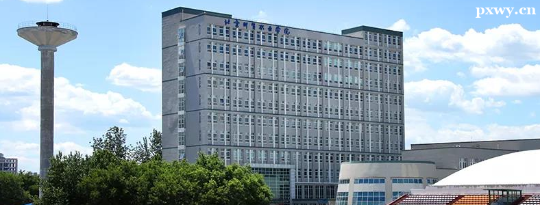 ������óְҵѧԺ2023������ְ���࿼�������³̣���ְ��