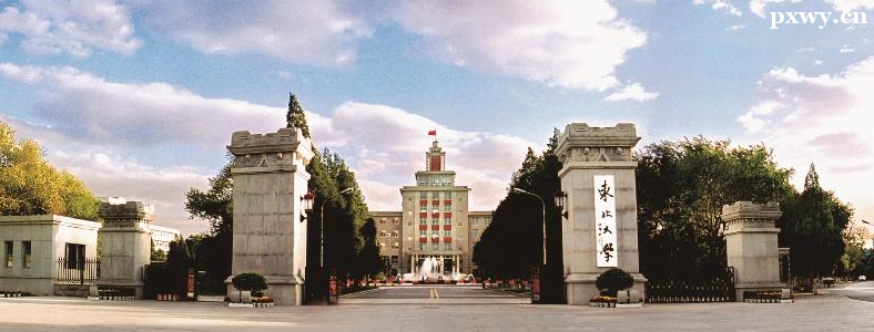 ������ѧ2024���о���������������
